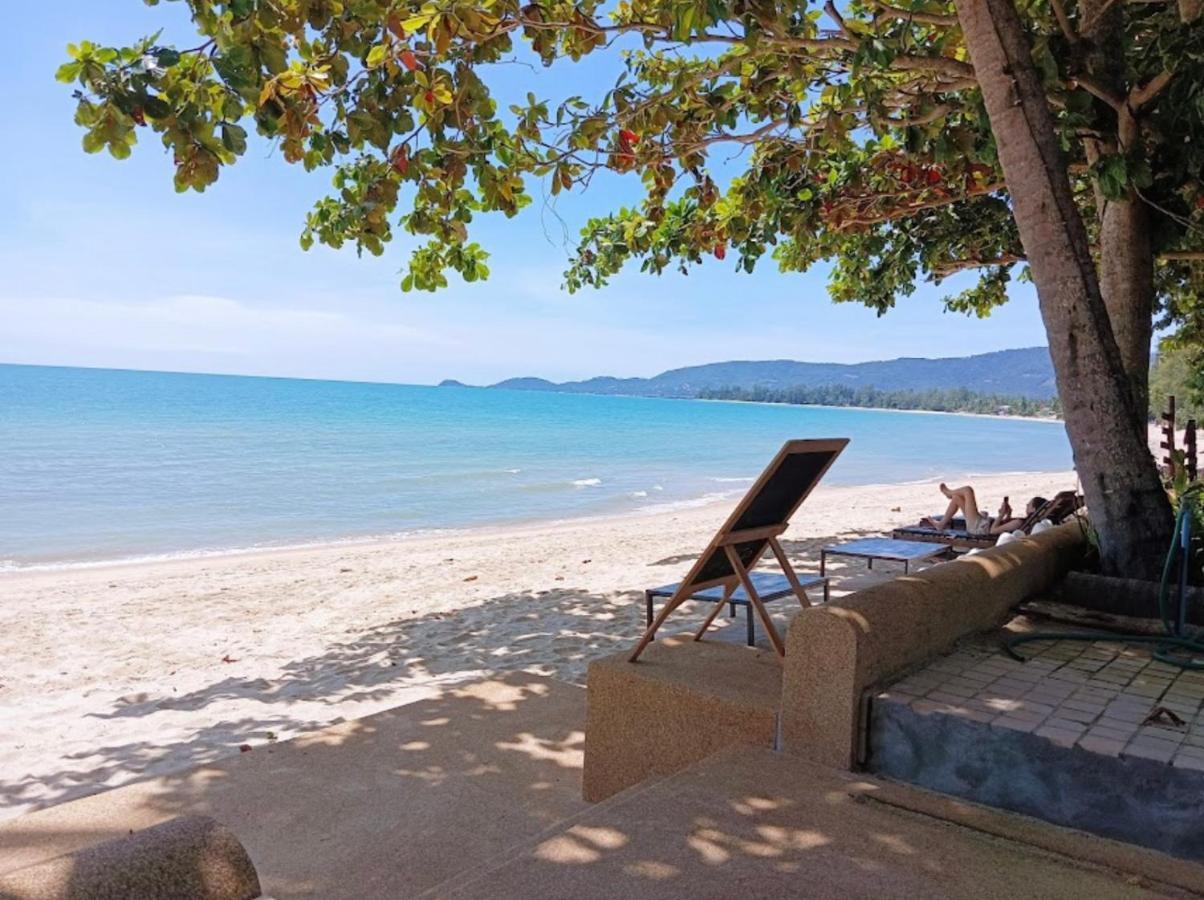 Chill Inn Lipa Noi Hostel And Beach Cafe Самуи Экстерьер фото